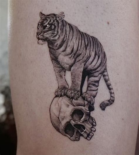 12 Best Tiger And Skull Tattoo Designs Petpress