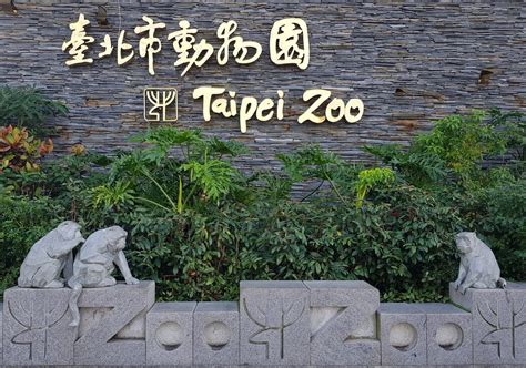 Taipei Zoo Guide And Tips To Make The Most Of Your Visit Taipei
