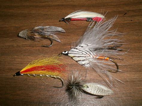Fishing Flies From Furthest Top Clockwise Royal Coachman Grey Ghost