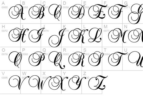 Baroque Antique Script Font Vintage Calligraphy Fonts Vintage Script