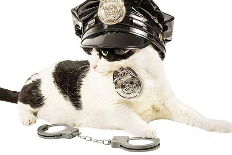 Cop Police Cat Photograph By Benny Marty Pixels