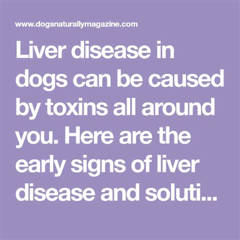 Early Symptoms Of Liver Disease In Dogs Recognize Disease