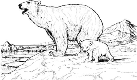 Your use of our printables is subject to our licensing terms and terms of use. Polar Bear Mother and Baby Coloring page | SuperColoring.com