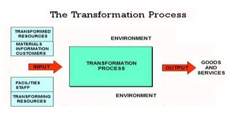 Summary The Input Transformation Output Process Pdf Summary The Input