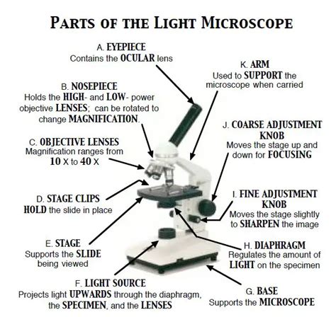 The Microscope Ms Jkims Science Classes