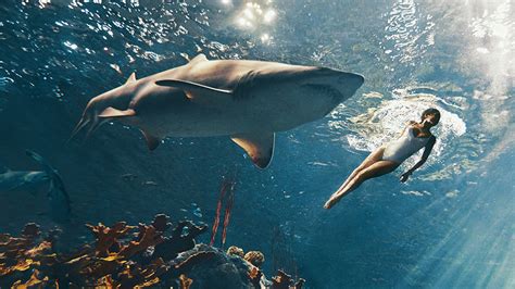 Rihanna Swims With Sharks The Hollywood Reporter