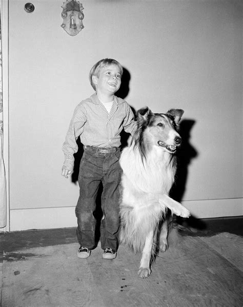 Heres What Happened To Lassie And Co Star Jon Provost