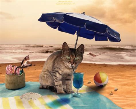 Cats On Vacation By Aleexdee On Deviantart Cats Cat Art Animal Art