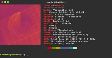 Neofetch Shows Linux System Information With Distribution Logo