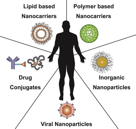 Drug Targeting Departement Pharmazeutische Wissenschaften