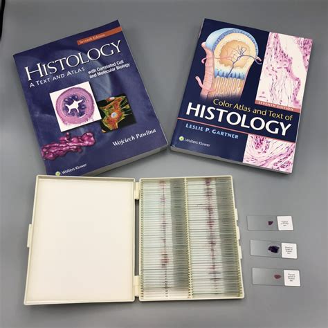 Prepared Human Histology Slide Study Set With Essential Histology