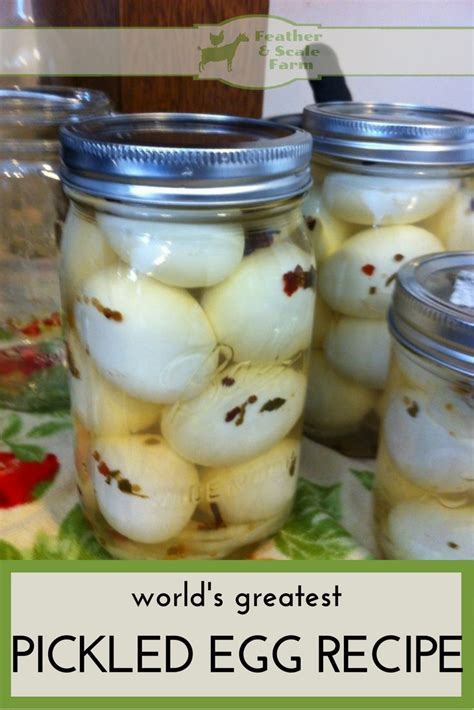 Best The Best Pickled Egg Recipes In The World The Best Ideas For