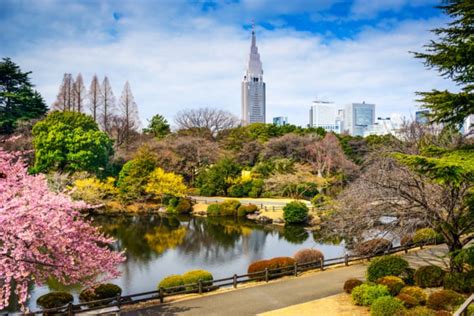 7 Beautiful Scenic Spots And Nature Escapes In Tokyo Skyticket Travel