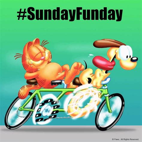 Sunday Funday Funny Quotes Shortquotescc