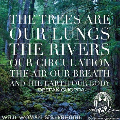The Trees Are Our Lungs Mother Nature Quotes Nature Quotes Nature