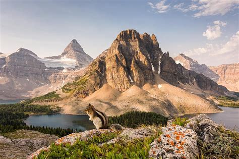 Mount Assiniboine Provincial Park Bc Canada Most Beautiful Places