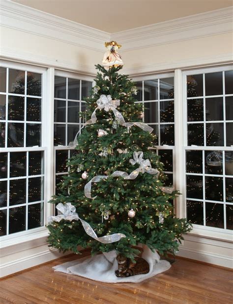 Decorated Christmas Tree In Home Stock Image Image Of Reflection