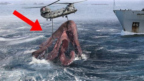 10 largest sea monsters caught in the ocean youtube