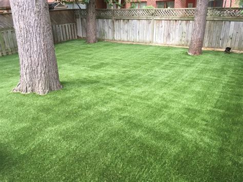Cant Grow Grass Because Of All The Shade Artificial Grass Toronto