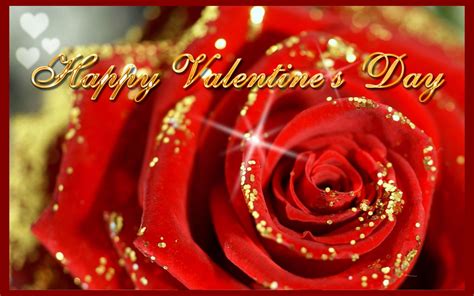 Download Happy Valentines Day Red Rose Wallpaper Free Hd Walls
