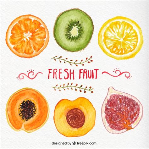 Hand Painted Fresh Fruits Vector Free Download