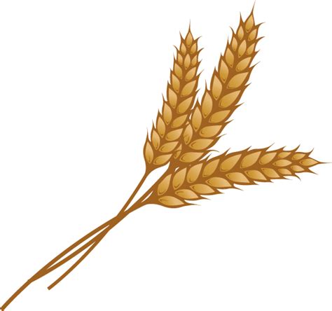 Wheat Clipart Cute Pictures On Cliparts Pub
