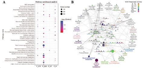 (left panel) clusters based on differently enriched kegg pathways and integrated view of egfr amplification, idh1 mutation, mgmt. KEGG pathway enrichment and functionally organized GO ...