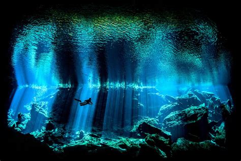 Into The Deep The Underwater Photography Awards