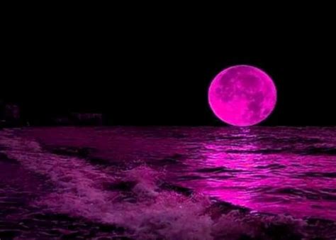 Ritual For Aprils Full Pink Moon Manifesting Your Dreams