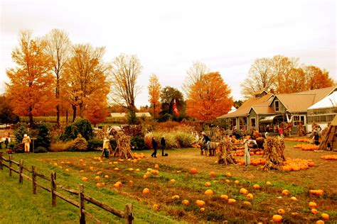 Free Download Posted In Autumn Tagged Fall In Vermont Pics Pumpkin Farm