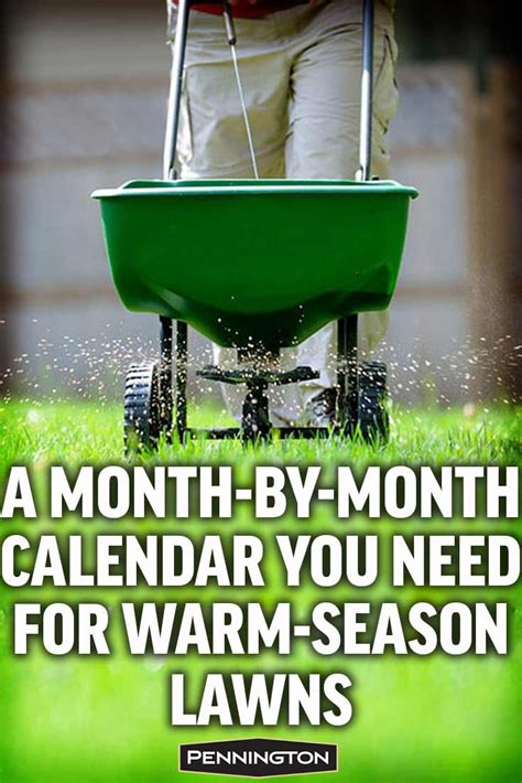 Lawn Care Calendar For Warm Season Lawns Warm Season Grass Lawn Care