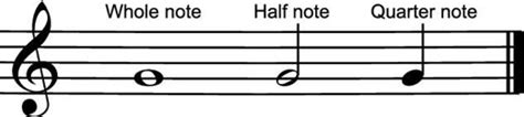 How To Read Quarter Notes Half Notes And Whole Notes Dummies