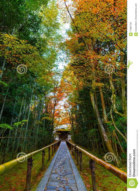 Autumn At Koto In In Kyoto Japa Stock Image Image Of Japanese Maple
