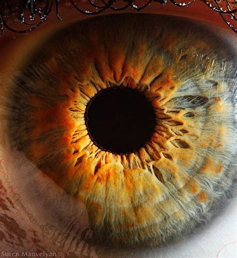 These 14 Incredible Photos Demonstrate The Complexity Of Human Eyes