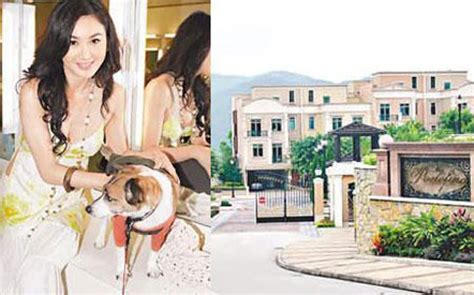 160 likes · 1 talking about this · 1 was here. 杨幂刘恺威香港豪宅曝光 看明星那些奢华住所- Micro Reading