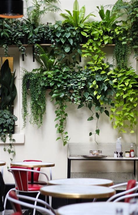 Preserved plants don't require any maintenance, unlike living green walls. House Plants: Bringing more Green into your home's ...