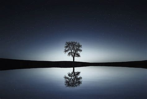 4600991 Tranquil Tree Reflection Scene Water Calm Lake Rare