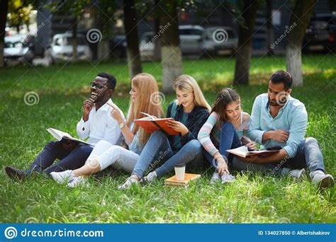 Mixed Race Group Of Students Sitting Together On Green Lawn Of