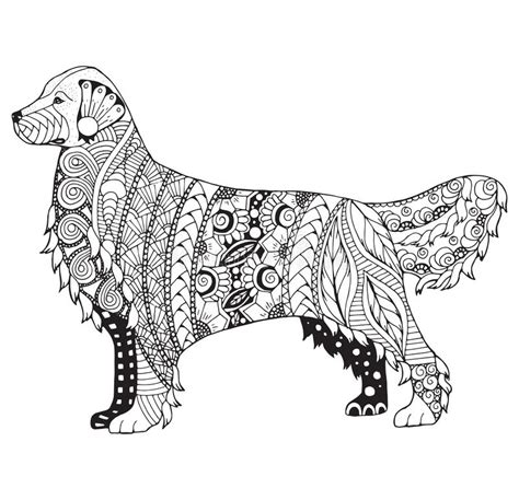 Use these images to quickly print coloring pages. Golden Retriever Dog Zentangle Stylized, Vector ...