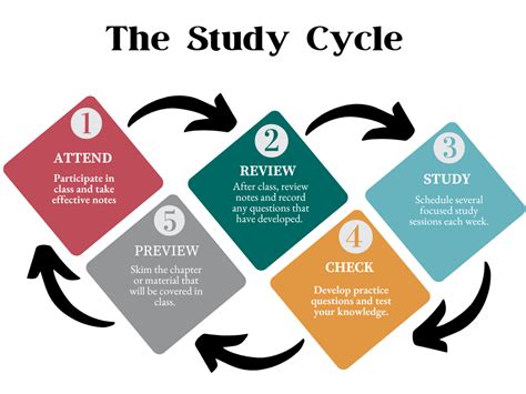 The Study Cycle And Focused Study Sessions Rhodes Sites