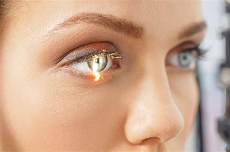 Can Lasik Transform Your Life Aging In Humans Human Eyeball