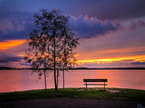 1080p Free Download Bench By The Lake Bench Nature Sunset Trees