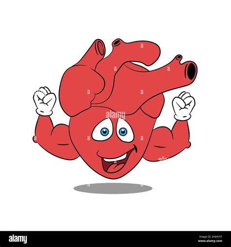 Strong Heart With Thick Biceps Cartoon Character Healthy Heart