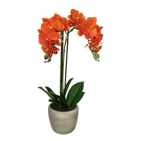 Double Stem Orchid In Gray Stone Look Vase Color Orange Quickly View This Special Product