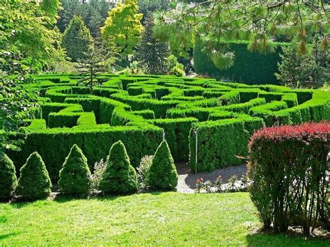7 Hedge Mazes To Enchant And Entrap You Atlas Obscura