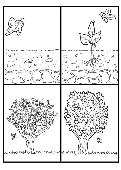39+ celtic tree of life coloring pages for printing and coloring. Disegno da colorare ciclo albero di mele - Disegni Da ...