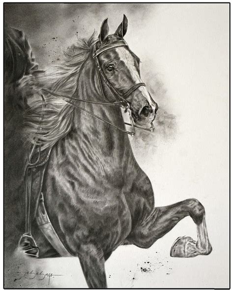 Https://tommynaija.com/draw/how To Draw A American Saddlebred