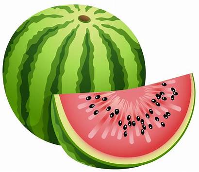 Watermelon Margaritas Clipart Lime Thoughts Ohio Blender