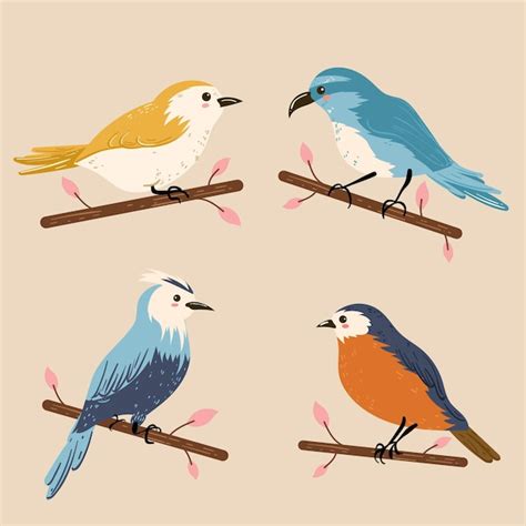 Free Vector Colorful Birds Collection Illustration