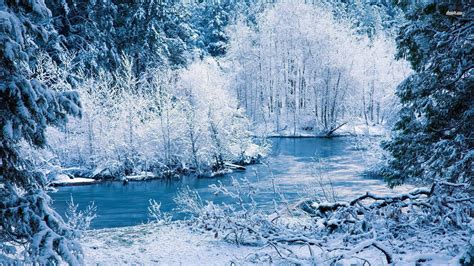 Winter Forest 1920x1080 Wallpapers Wallpaper Cave